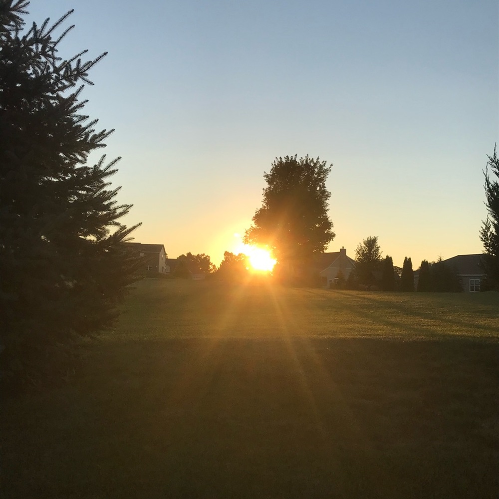 Meet your Posher, Bre.